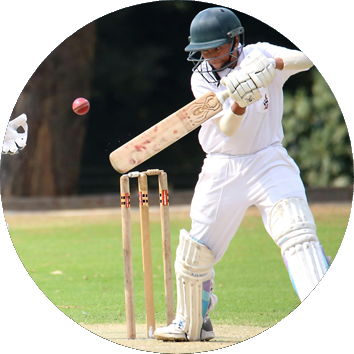 Business consulting services